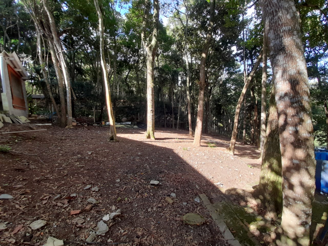 Cod.3466