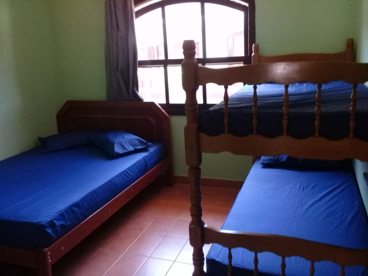 Cod3537