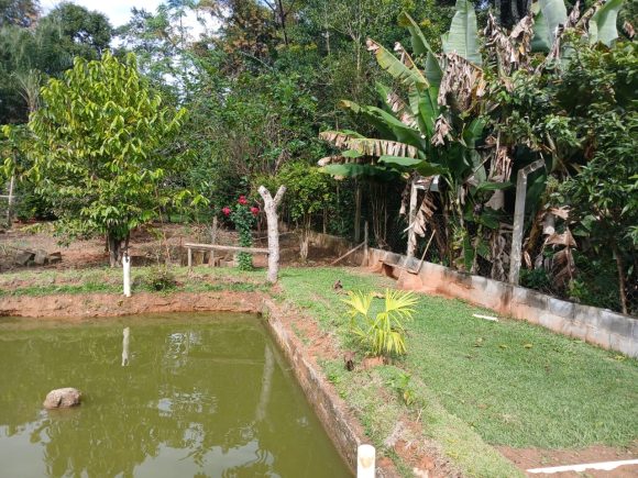 WhatsApp Image 2025-05-12 at 11.31.09 (3)