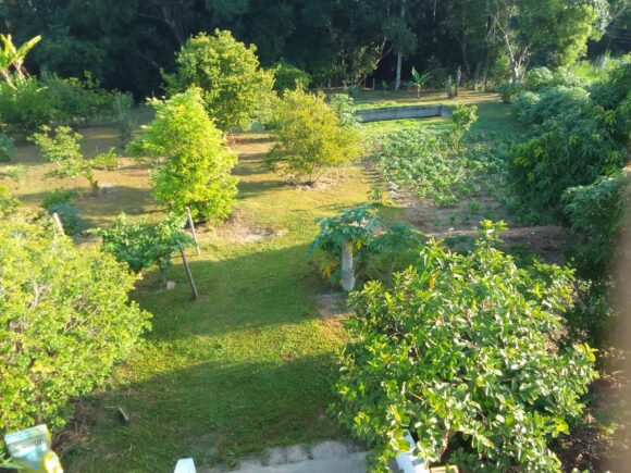 WhatsApp Image 2026-02-26 at 11.09.22