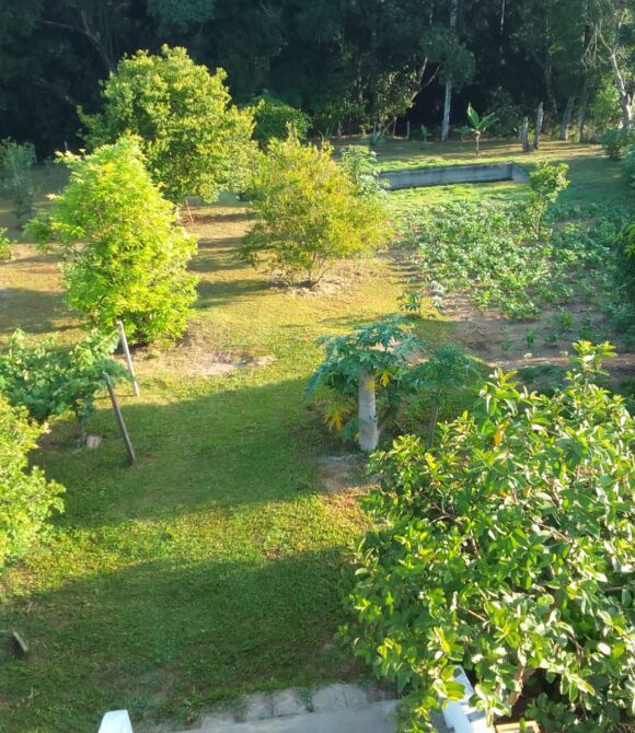 WhatsApp Image 2026-02-26 at 11.09.22