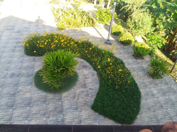 WhatsApp Image 2026-02-26 at 11.09.23 (1)