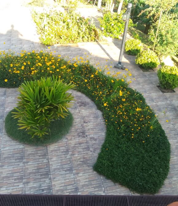 WhatsApp Image 2026-02-26 at 11.09.23 (1)