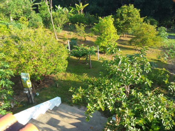 WhatsApp Image 2026-02-26 at 11.09.23