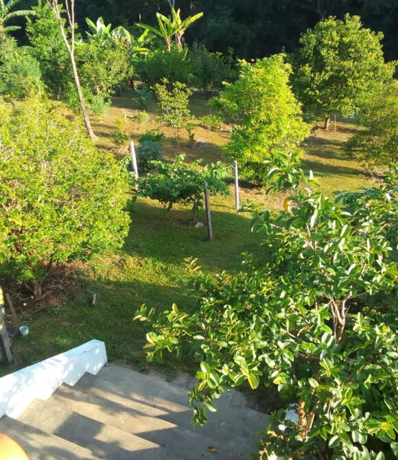 WhatsApp Image 2026-02-26 at 11.09.23