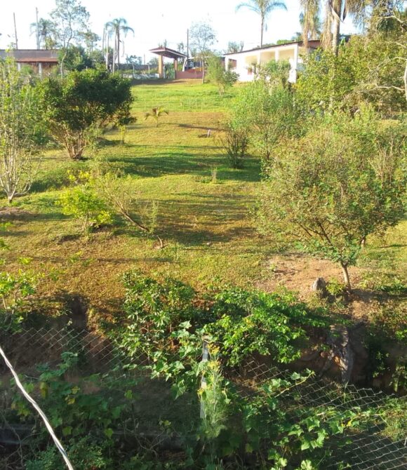 WhatsApp Image 2026-02-26 at 11.09.24 (1)