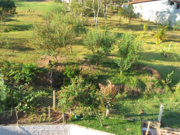 WhatsApp Image 2026-02-26 at 11.09.24