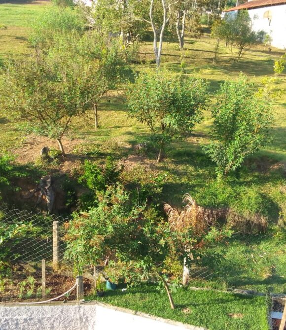 WhatsApp Image 2026-02-26 at 11.09.24