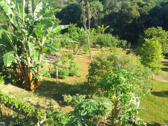 WhatsApp Image 2026-02-26 at 11.09.25