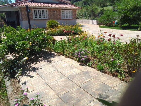 WhatsApp Image 2026-02-26 at 11.09.31