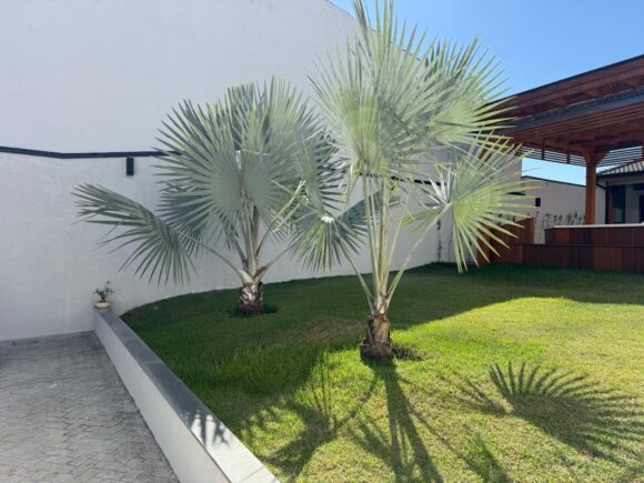 WhatsApp Image 2025-10-28 at 15.35.54 (1)