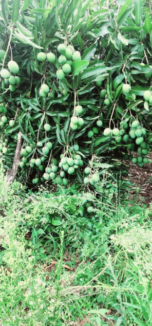 WhatsApp Image 2025-11-28 at 10.20.32 (4)