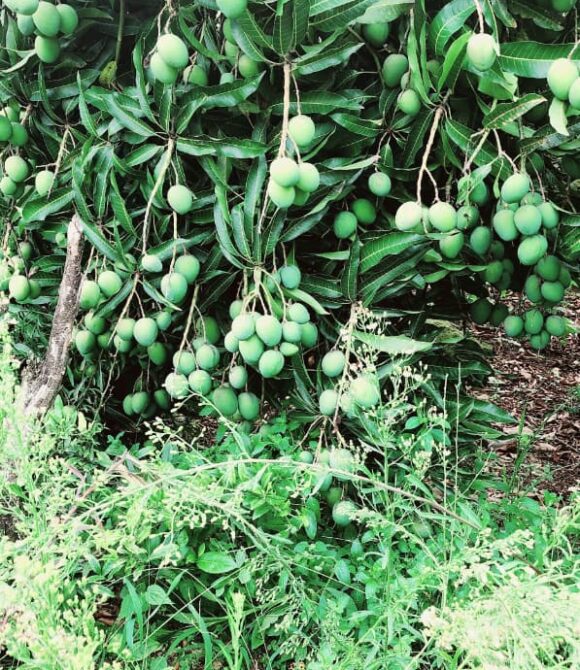 WhatsApp Image 2025-11-28 at 10.20.32 (4)