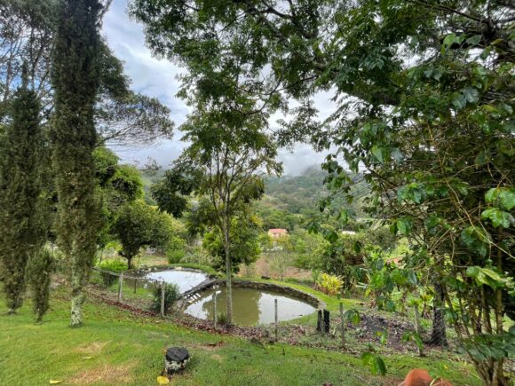 WhatsApp Image 2025-11-28 at 10.20.35 (1)