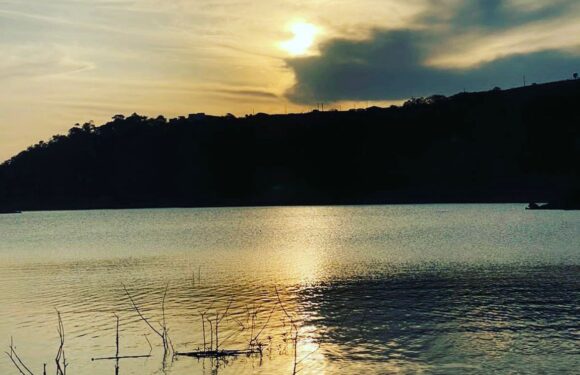 WhatsApp Image 2025-12-01 at 14.02.51 (1)