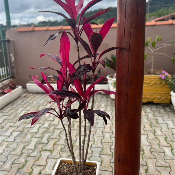 WhatsApp Image 2025-12-01 at 14.26.40 (3)