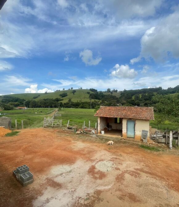 WhatsApp Image 2025-12-08 at 11.52.38 (1)