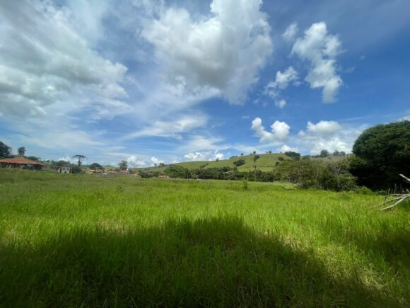 WhatsApp Image 2025-12-08 at 11.52.42