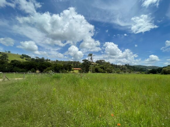 WhatsApp Image 2025-12-08 at 11.52.43