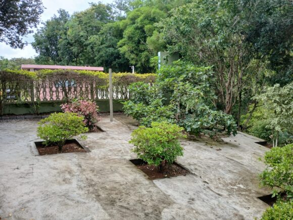 WhatsApp Image 2026-01-19 at 14.10.31