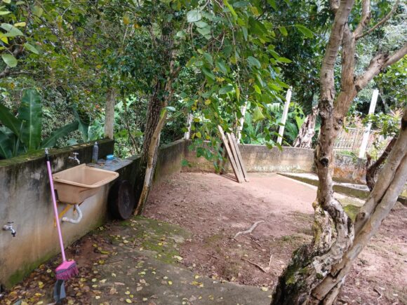 WhatsApp Image 2026-01-19 at 14.10.44