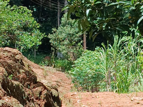 WhatsApp Image 2026-01-19 at 14.10.45 (1)