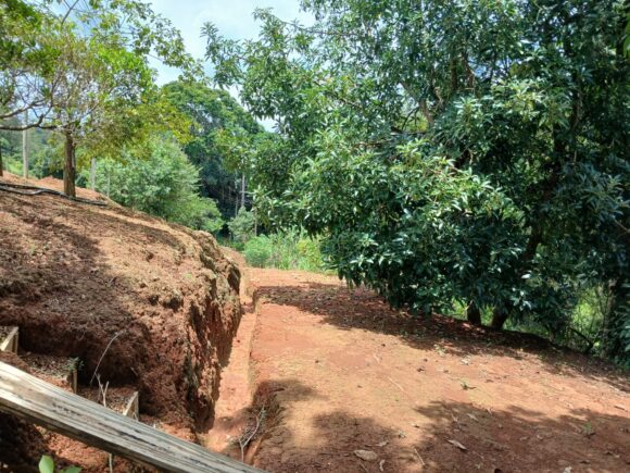 WhatsApp Image 2026-01-19 at 14.10.45 (2)