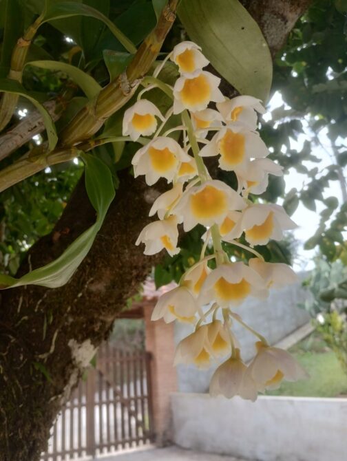 WhatsApp Image 2026-01-19 at 14.10.47 (1)