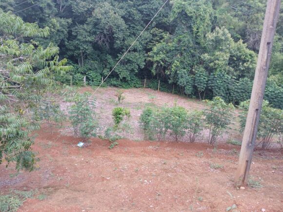 WhatsApp Image 2026-01-19 at 14.10.47 (3)