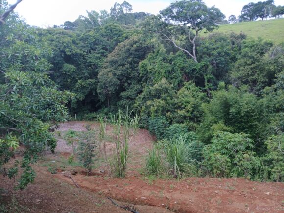 WhatsApp Image 2026-01-19 at 14.10.47