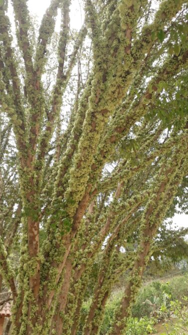 WhatsApp Image 2026-01-19 at 14.10.48 (1)