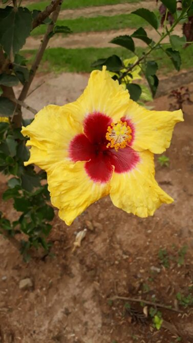 WhatsApp Image 2026-01-19 at 14.10.48 (2)