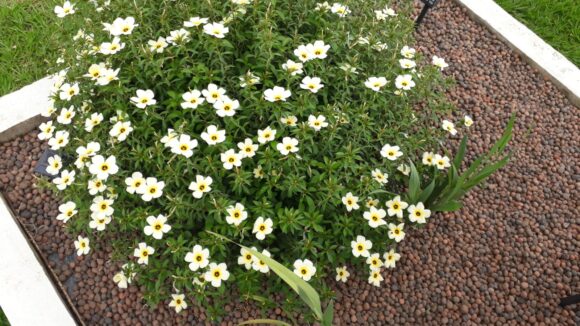 WhatsApp Image 2026-01-19 at 14.10.49