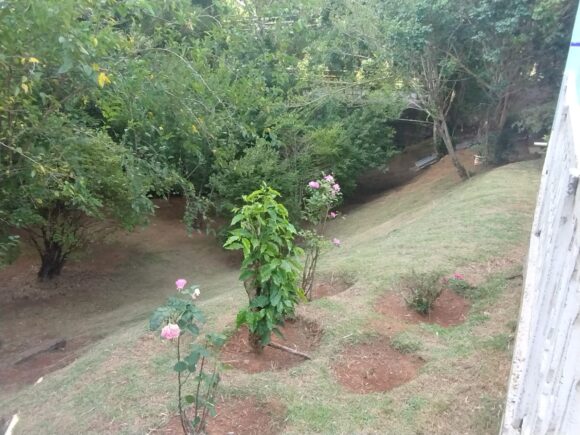 WhatsApp Image 2026-01-19 at 14.10.50 (2)