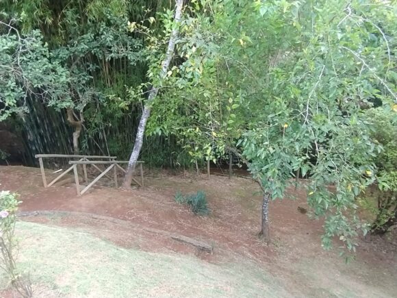 WhatsApp Image 2026-01-19 at 14.10.50