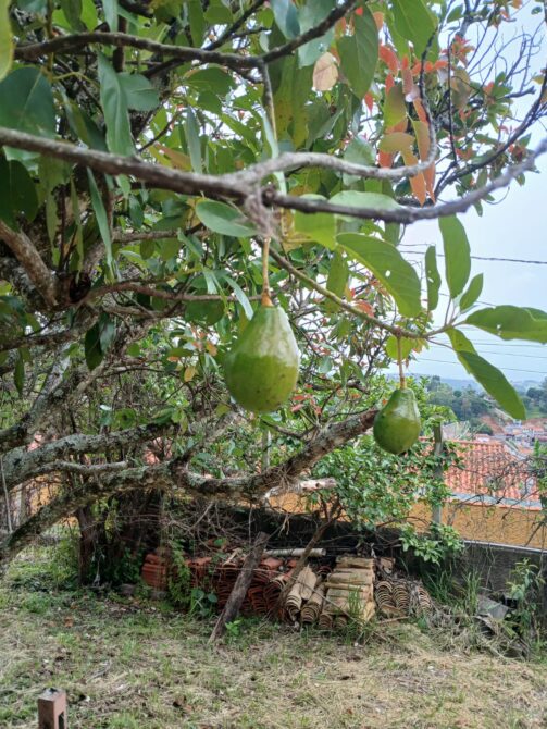 WhatsApp Image 2026-01-26 at 11.28.31 (1)