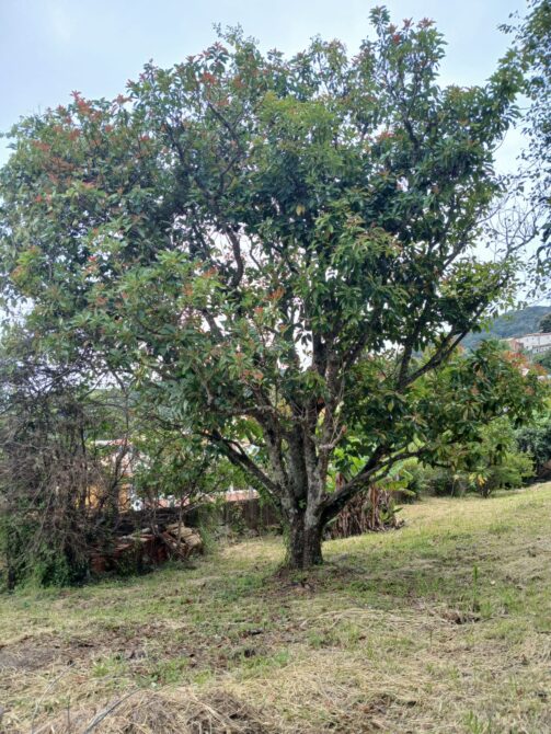 WhatsApp Image 2026-01-26 at 11.28.31 (2)