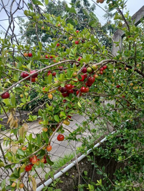 WhatsApp Image 2026-01-26 at 11.28.31 (3)