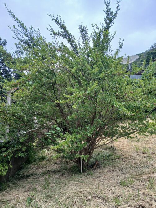 WhatsApp Image 2026-01-26 at 11.28.32