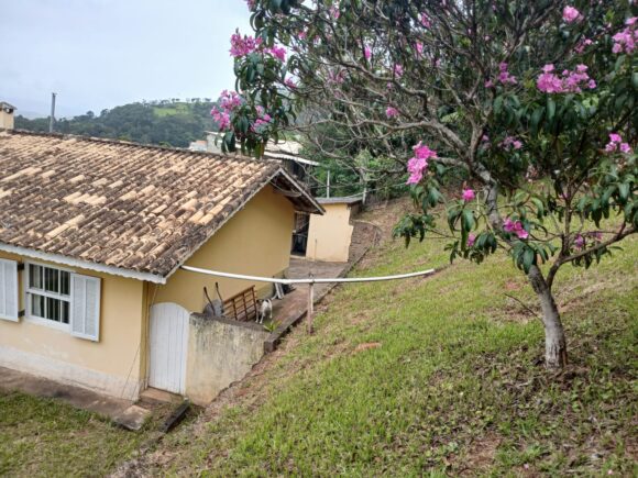 WhatsApp Image 2026-01-26 at 11.28.33 (1)