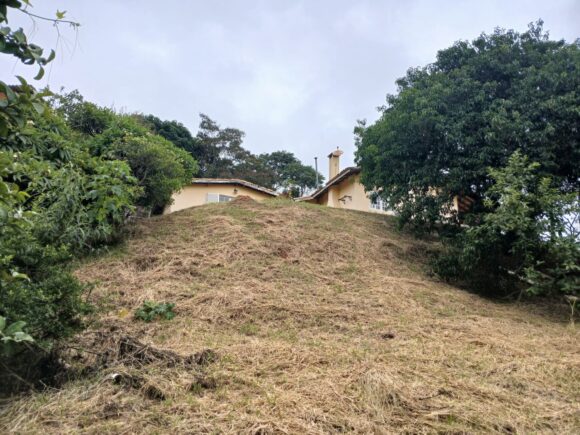 WhatsApp Image 2026-01-26 at 11.28.33 (3)