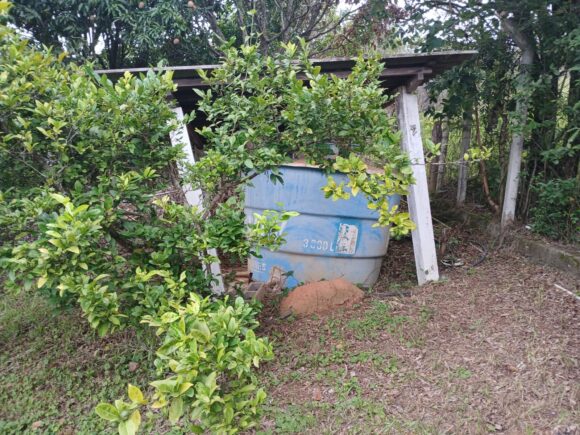 WhatsApp Image 2026-01-26 at 11.28.35 (1)