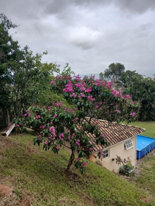 WhatsApp Image 2026-01-26 at 11.28.35 (2)