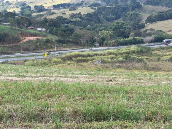 WhatsApp Image 2026-02-05 at 16.56.46 (1)