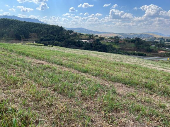 WhatsApp Image 2026-02-05 at 16.56.46 (2)