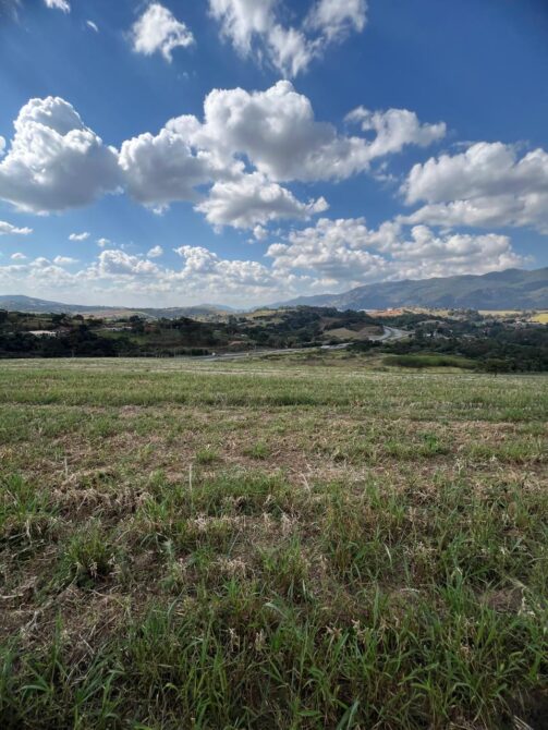 WhatsApp Image 2026-02-05 at 16.56.46