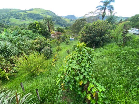 WhatsApp Image 2026-03-03 at 11.55.42 (1)