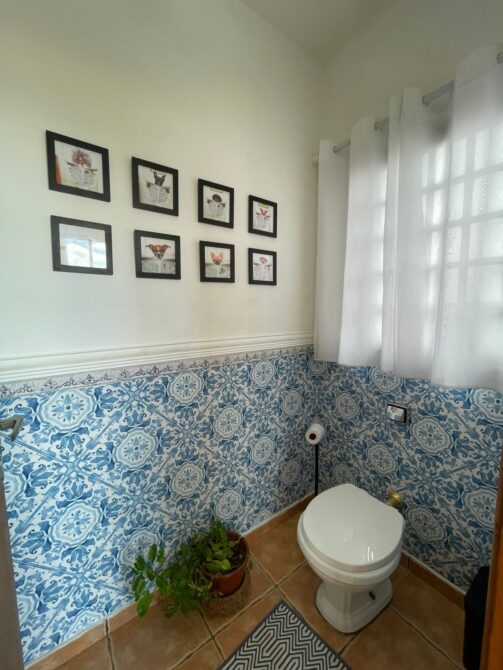 WhatsApp Image 2026-03-03 at 12.04.29 (6)