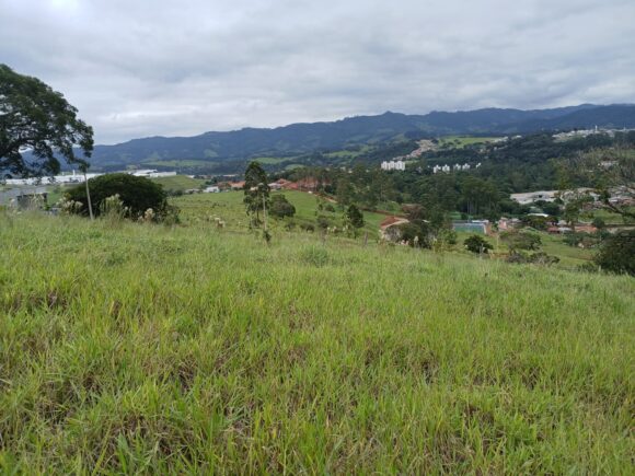 WhatsApp Image 2026-03-04 at 10.40.21 (1)