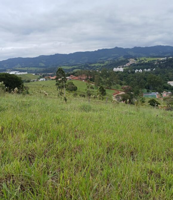 WhatsApp Image 2026-03-04 at 10.40.21 (1)